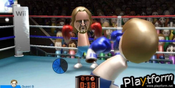 Wii Sports (Wii)