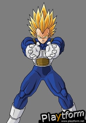 Dragon Ball Z: Budokai Tenkaichi 2 (Wii)