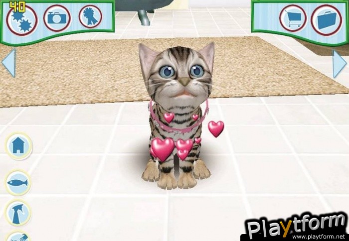 Catz (PC)