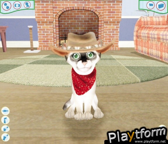 Catz (PC)