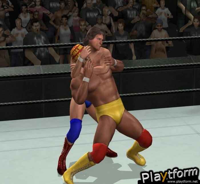 WWE SmackDown vs. RAW 2007 (PlayStation 2)