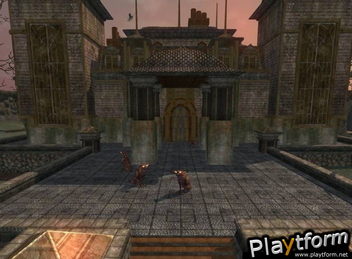 EverQuest II: Echoes of Faydwer (PC)