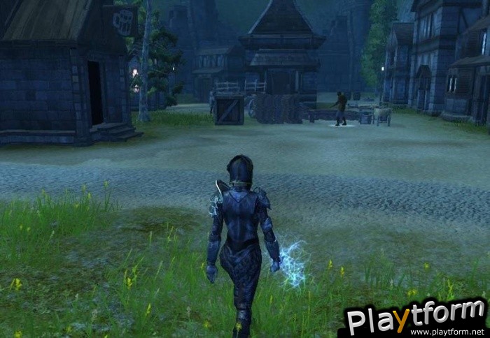 Neverwinter Nights 2 (PC)