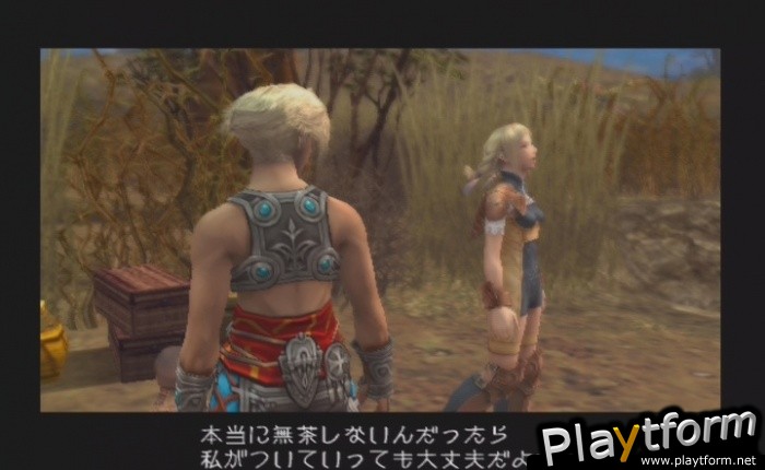 Final Fantasy XII (PlayStation 2)