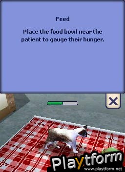 The Sims 2: Pets (DS)