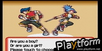 Pokemon Ranger (DS)