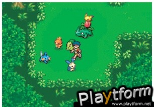 Pokemon Ranger (DS)