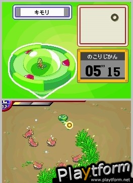 Pokemon Ranger (DS)