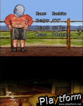 Nacho Libre (DS)