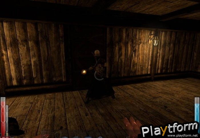 Dark Messiah of Might and Magic (PC)