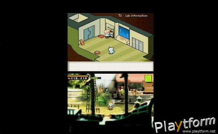 Contact (DS)