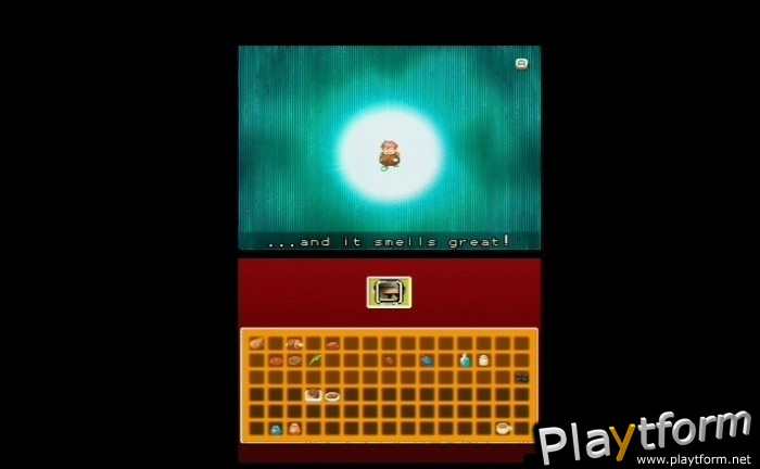 Contact (DS)