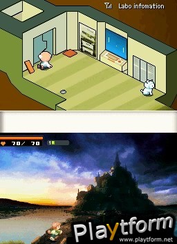 Contact (DS)
