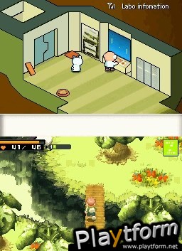 Contact (DS)