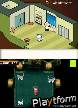 Contact (DS)