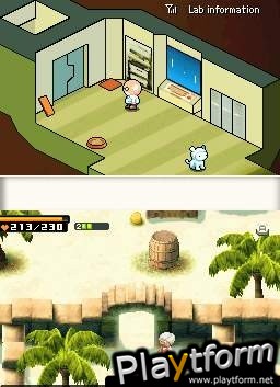 Contact (DS)
