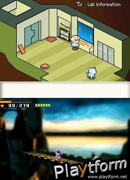 Contact (DS)