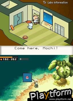 Contact (DS)
