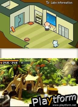 Contact (DS)