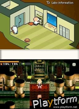 Contact (DS)