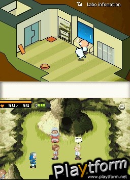 Contact (DS)