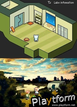 Contact (DS)