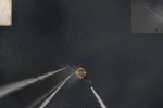 Combat Wings: Battle of Britain (PC)