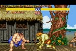 Street Fighter II: The World Warrior (Wii)