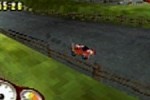 Mini RC Rally (DS)