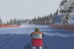 Alpine Ski Racing 2007 (PC)