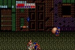 Golden Axe (Genesis) (Wii)