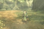 The Legend of Zelda: Twilight Princess (Wii)