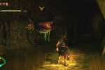 The Legend of Zelda: Twilight Princess (Wii)