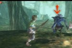 The Legend of Zelda: Twilight Princess (Wii)