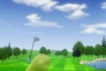 Wii Sports (Wii)