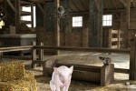 Charlotte's Web (PC)