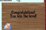 Charlotte's Web (DS)