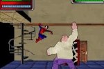 Spider-Man: Battle for New York (DS)