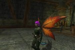 EverQuest II: Echoes of Faydwer (PC)