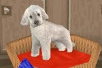 The Sims 2: Pets (DS)