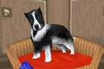 The Sims 2: Pets (DS)