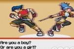 Pokemon Ranger (DS)