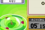 Pokemon Ranger (DS)