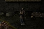 Dark Messiah of Might and Magic (PC)