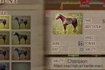 Dynasty Warriors Vol. 2 (PSP)