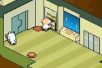 Contact (DS)