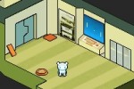 Contact (DS)