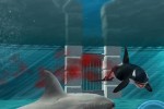 Jaws Unleashed (PC)