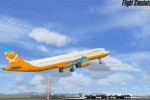 Microsoft Flight Simulator X (PC)