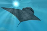 Zoo Tycoon 2: Marine Mania (PC)
